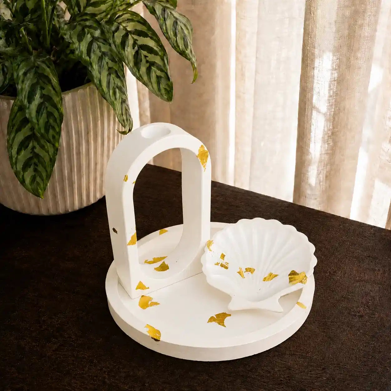 3 in 1 Bundle - Round Tray | Propagation Vase & Shell Tray