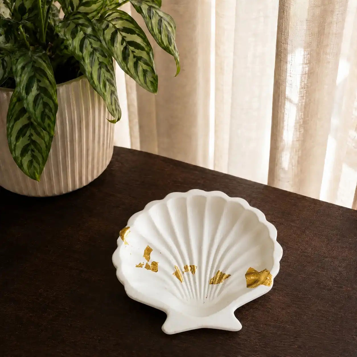 Shell Tray